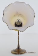 Klasyczny kinkiet rustykalny z miodowym kloszem florystycznym do oświetlenia ganku